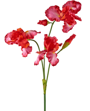 Kunnst flower Iris 102 cm rouge