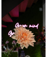 De Kunst Georgine Real Touch lichtroze bloem van 70 cm staat vooraan in focus, met een wazig neon "Open mind" roze cursief teken en verschillende bloemen en groen op de achtergrond.
