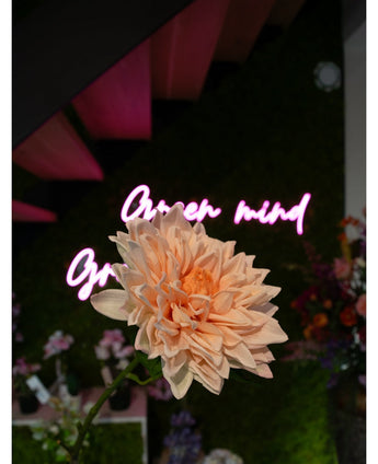 De Kunst Georgine Real Touch lichtroze bloem van 70 cm staat vooraan in focus, met een wazig neon "Open mind" roze cursief teken en verschillende bloemen en groen op de achtergrond.