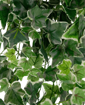 Close-up van Kunst Klimop 70 cm groen/wit: groene en witte bonte klimopbladeren met gekartelde randen en zichtbare nerven, dicht opeengepakt zodat de achtergrond grotendeels verborgen wordt door het weelderige gebladerte.
