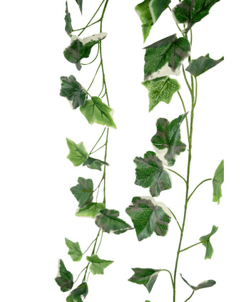 De Kunst Klimop Slinger 180 cm groen/wit heeft twee strengen levensechte groene en witte klimopbladeren in verschillende maten met realistische adering, verticaal hangend tegen een witte achtergrond.