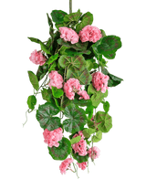 De Kunst hangplant Geranium 75 cm roze heeft kunstmatige groene bladeren en roze geraniumbloemen die naar beneden vallen, perfect als hangdecoratie tegen een witte achtergrond.