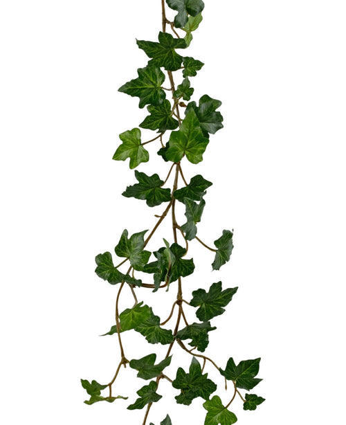 La plante artificielle suspendue Lierre guirlande de luxe 180 cm vert a une guirlande suspendue réaliste de lierre vert avec de multiples feuilles pointues sur une fine vigne, magnifiquement isolée sur un fond blanc.