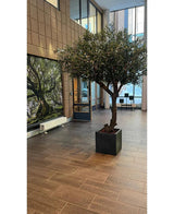 L'œuvre d'art « Olivier sans olives » (270 cm) se dresse sur un sol carrelé dans le hall moderne, avec de grandes fenêtres, des chaises en arrière-plan et une œuvre d'art en forme d'arbre sur le mur de gauche.
