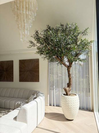 Un olivier artificiel sans olives mesurant 270 cm se dresse à côté d'une grande fenêtre dans un salon lumineux et moderne avec un canapé blanc incurvé, deux œuvres d'art au mur, des voilages et un lustre décoratif. Cet accent nécessitant peu d’entretien offre une verdure luxuriante sans les tracas de l’entretien quotidien.