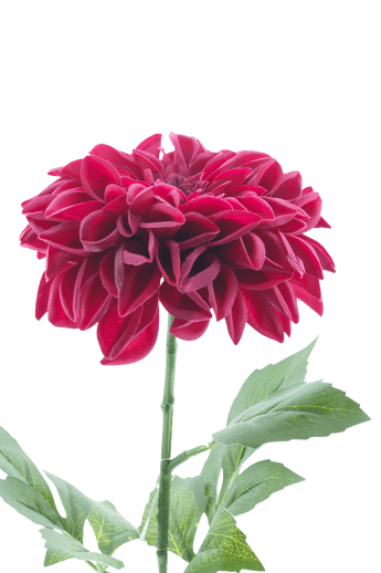 Kunstbloem Dahlia Real Touch Paars 72 cm