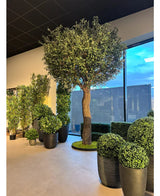 Een binnenruimte met een Kunstboom Olijf van 300 cm en weelderige planten bij de hoge ramen. Buiten is het gedeeltelijk bewolkt, waardoor natuurlijk licht deze moderne ruimte vult en een mediterrane sfeer creëert.