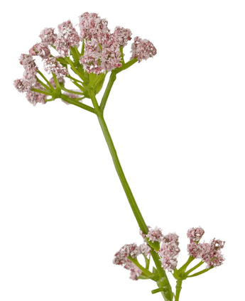 De Kunstgras Prei Bloem Uien Graspot 120cm brandvertragend heeft een enkele groene steel met trosjes kleine, delicate roze bloemen tegen een witte achtergrond.
