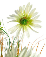 Een close-up van de Kunstgras chrysant uienpot 90cm brandvertragend, met een witte margrietachtige bloem met een groen hart temidden van dunne groene en bruine grasachtige stengels, alles tegen een witte achtergrond.