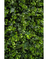 Gros plan d'un feuillage vert dense avec de petites plantes feuillues et des vignes, avec le mélange de tapis de haie artificielle luxuriante 50x50 cm, parfait pour créer un mur végétal vertical vibrant.