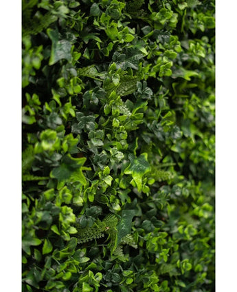Gros plan d'un feuillage vert dense avec de petites plantes feuillues et des vignes, avec le mélange de tapis de haie artificielle luxuriante 50x50 cm, parfait pour créer un mur végétal vertical vibrant.
