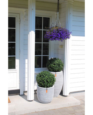 La véranda blanche d'une maison comprend deux jardinières topiaires de style romain UV 65 cm en buis artificiel sur tige avec des arbustes verts, un panier suspendu avec des fleurs violettes au-dessus, des colonnes blanches et une porte vitrée sur la gauche.