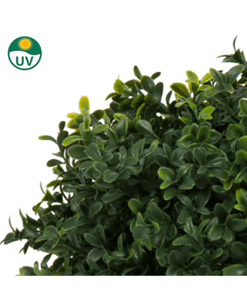 Gros plan du feuillage vert dense de la plante de Buis Artificiel sur tige de style romain UV 65cm, aux pointes plus claires ; une icône circulaire de protection UV est visible dans le coin supérieur gauche.
