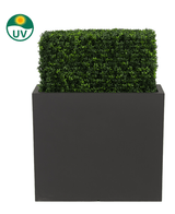 De Kunst Buxushaag UV 70x20x50 cm is een rechthoekige, UV-beschermde groene kunststof buxushaag in een hoge, zwarte plantenbak, afgebeeld tegen een witte achtergrond met een UV-icoon dat de zonbestendigheid benadrukt.