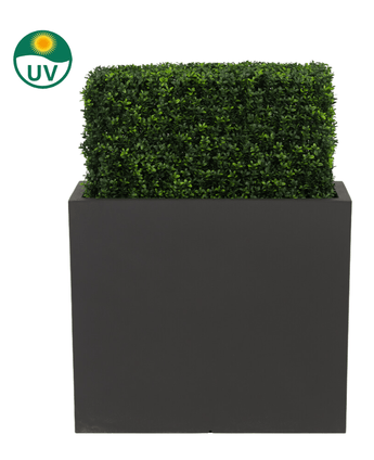De Kunst Buxushaag UV 70x20x50 cm is een rechthoekige, UV-beschermde groene kunststof buxushaag in een hoge, zwarte plantenbak, afgebeeld tegen een witte achtergrond met een UV-icoon dat de zonbestendigheid benadrukt.