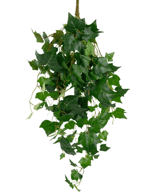 Les feuilles géantes de lierre artificiel de 100 cm ont un bouquet luxuriant de feuilles de lierre vert avec des vignes sinueuses sur un fond blanc uni.