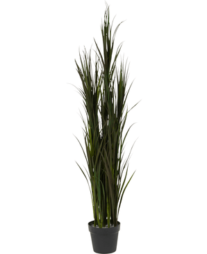 Le gazon artificiel Bordeaux UV 150 cm est composé d'un gazon artificiel haut avec de longues feuilles vertes fines, disposées dans un petit pot noir, représenté sur un fond blanc.