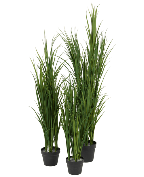 Quatre plantes artificielles de gazon artificiel vert UV de 150 cm, chacune dans un pot noir, ont de hautes et fines feuilles vertes dressées et sont rapprochées sur un fond blanc.