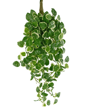 Plante murale artificielle Pumila 50 cm