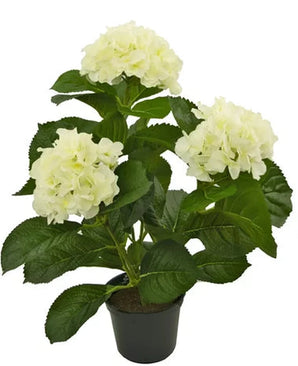 Présentation de la plante artificielle Hortensia White UV 35 cm, une plante artificielle réaliste avec trois bouquets de fleurs d'hortensia blanc clair et des feuilles vertes luxuriantes, magnifiquement conçues pour ressembler à de vraies fleurs, présentées sur un fond blanc éclatant.