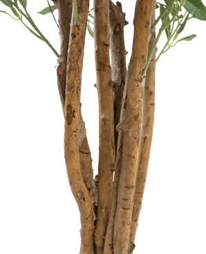 Close-up van een aantal bruine stammen met ruwe schors en een paar groene bladeren tegen een effen witte achtergrond, met de Kunst olijfboom UV 120 cm: een onderhoudsarme, UV-bestendige kunstplant voor duurzame schoonheid binnen of buiten.
