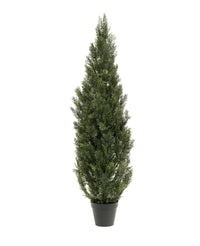 Thuya artificiel UV 150cm