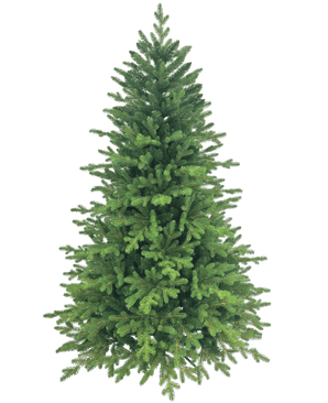 Sapin de Noël Artificiel "Ibsen" PE/PVC