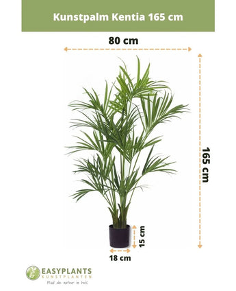 De Kunstpalm Kentia 165 cm is een kunstpalm van 165 cm hoog en 80 cm breed, geplaatst in een zwarte pot van 18x15 cm. Het Easyplants logo is zichtbaar aan de onderkant van de afbeelding.