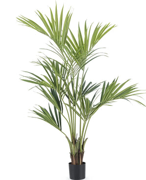 Plante artificielle Kentia Palme 150 cm