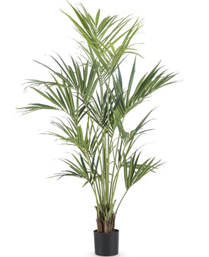 Plante artificielle Kentia Palme 180 cm