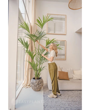 In een lichte woonkamer staat een vrouw naast de Kunstpalm Kentia 220 cm, terwijl ze zachtjes de bladeren aanraakt. Het tropische interieur heeft een lichte bank met kussens, ingelijste muurkunst en grote ramen die natuurlijk licht binnenlaten.