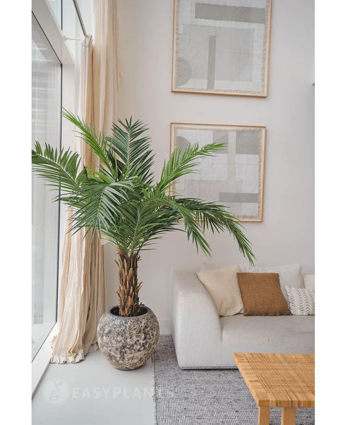 Le Palmier Artificiel Phoenix Canarie 160 cm ajoute une ambiance tropicale à côté d'un canapé clair aux coussins neutres dans un salon moderne avec de l'art abstrait, des rideaux transparents et une table basse tressée.