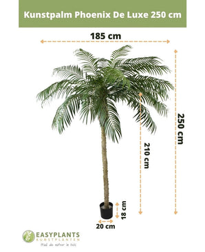 Kunstpalm Phoenix De Luxe 250 cm: Kunstmatige palmboom met lange gevederde bladeren in een zwarte pot. Hoogte: 250 cm, stam: 210 cm, bladspanne: 185 cm, potmaat: 18x20 cm (H x Ø). Tekst en afmetingen zijn overlappend.