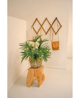 La Plante Artificielle Baby Palm Fan en pot UV 50 cm trône sur un tabouret en bois dans une pièce minimaliste. Derrière lui, un support mural marron de style accordéon présente des sacs en cuir marron et beige contre un mur d'un blanc éclatant.