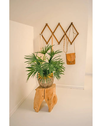 La Plante Artificielle Baby Palm Fan en pot UV 50 cm trône sur un tabouret en bois dans une pièce minimaliste. Derrière lui, un support mural marron de style accordéon présente des sacs en cuir marron et beige contre un mur d'un blanc éclatant.