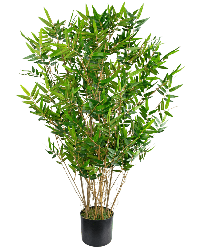 La plante artificielle Bamboo Deluxe 90 cm est un grand bambou artificiel vert feuillu avec des branches fines et des feuilles longues et étroites dans un pot noir, représenté sur un fond blanc uni.