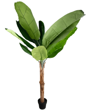 De Kunstplant Bananenboom 180 cm is een hoge kunstbananenplant met grote groene bladeren en een bruine stam in een kleine zwarte pot, afgebeeld tegen een effen witte achtergrond.