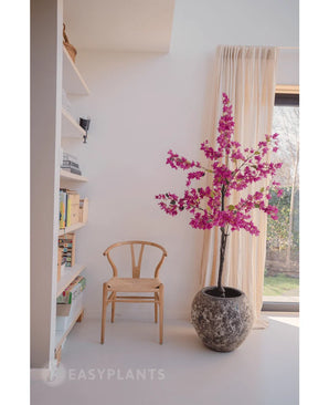 Een moderne, minimale kamer met een houten stoel, boekenplank en een grote stenen pot met de Kunstplant Bougainvillea 180 cm Paars. De levendige paarse bloemen brengen levendige kleur in de woonkamer bij het raam met transparante gordijnen.
