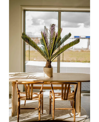 Een houten eettafel met twee bijpassende stoelen staat bij een groot raam. Op de tafel staat een Kunstplant Cycus Palm Deluxe 95 cm en het zonlicht stroomt naar binnen en werpt zijn schaduwen op het meubilair en de vloer.