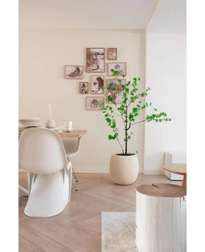Een moderne, minimale eethoek met witte stoelen, een houten tafel en de Kunstplant Enkianthus 150 cm die groen toevoegt, aangevuld met een galeriewand van ingelijste foto's op een neutraal gekleurde achtergrond.