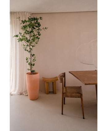 De Kunstplant Ficus 210 cm staat hoog naast transparante gordijnen in een minimale, neutrale kamer met een rustieke houten stoel, een opvallend klein houten krukje en een houten tafel.