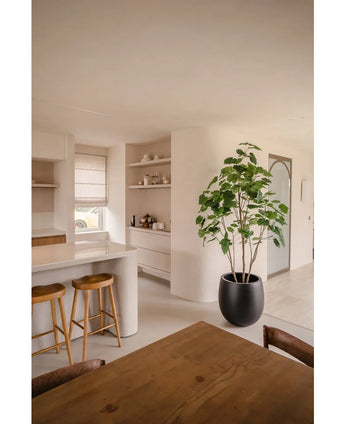 Een moderne keuken met lichte muren, houten krukjes op het aanrecht, open planken met servies, een Kunstplant Ficus 210 cm die groen toevoegt en een houten eettafel met stoelen. De ruimte is licht met natuurlijk licht.