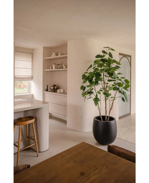 Een moderne, minimalistische keuken en eethoek in neutrale tinten heeft open planken, een gebogen eiland met een houten kruk, een houten eetset en de Kunstplant Ficus 210 cm als stijlvolle potplant. Natuurlijk licht verlicht de ruimte.