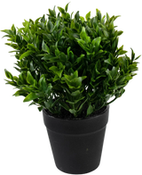 La Plante Artificielle Verte 20 cm en pot est une plante artificielle verte luxuriante avec de petites feuilles pointues dans un simple pot noir, parfaite pour ajouter une verdure vibrante à votre espace.
