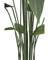 Close-up van hoge, groene Kunstplant Heliconia 160 cm stengels en brede bladeren tegen een witte achtergrond. De afbeelding benadrukt de verticale rangschikking en natuurlijke textuur van deze onderhoudsvrije plant.