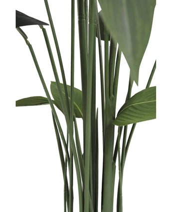 Close-up van hoge, groene Kunstplant Heliconia 160 cm stengels en brede bladeren tegen een witte achtergrond. De afbeelding benadrukt de verticale rangschikking en natuurlijke textuur van deze onderhoudsvrije plant.