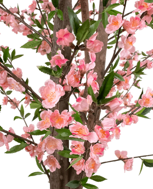 Plante artificielle de fleurs de cerisier 180 cm rose