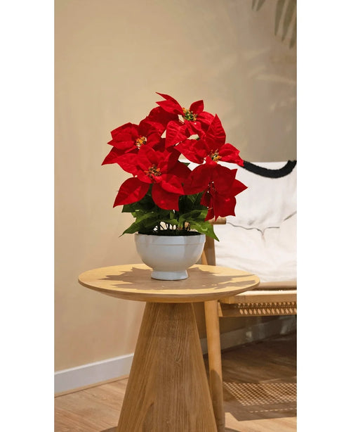 La plante artificielle étoile de Noël 44 cm rouge, avec des fleurs rouge vif dans un pot blanc, se dresse sur une table d'appoint ronde en bois à côté d'une chaise d'appoint beige dans une pièce confortable et doucement éclairée.
