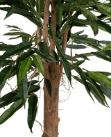 Een close-up van de Kunstplant Longfolia 180 cm toont de boomstam met lange, smalle groene bladeren en dunne, kronkelende lianen tegen een witte achtergrond.
