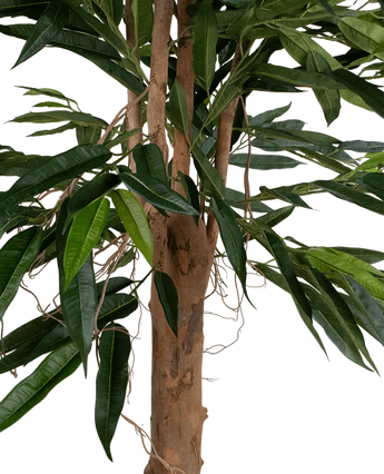 Een close-up van de Kunstplant Longfolia 180 cm toont de boomstam met lange, smalle groene bladeren en dunne, kronkelende lianen tegen een witte achtergrond.